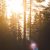 Guide d’achat lampe solaire à piquet 2019